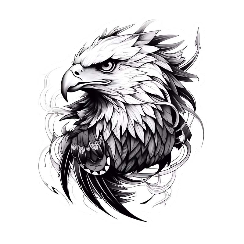 برچسب بدنه خودرو طرح عقاب کد b01