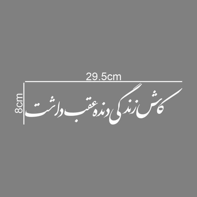 برچسب بدنه خودرو طرح کاش زندگی دنده عقب داشت کد MT-W413