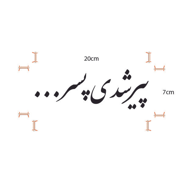 برچسب خودرو صفا طرح پیر شدی پسر