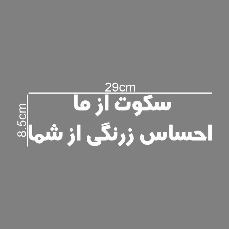 برچسب بدنه خودرو طرح سکوت از ما احساس زرنگی از شما کد MT-W435