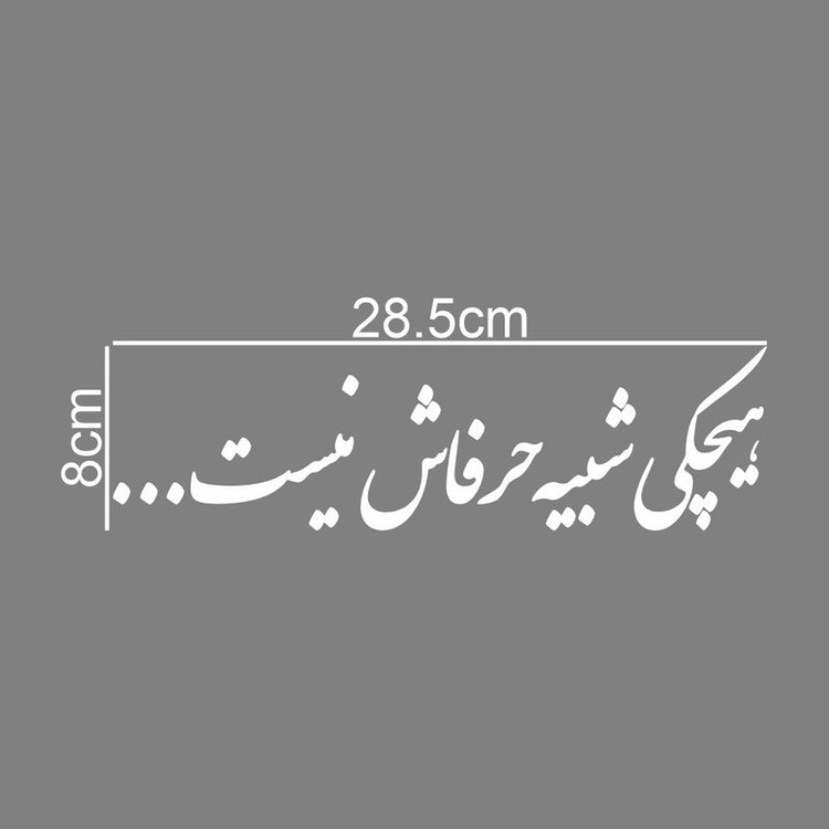 برچسب بدنه خودرو طرح هیچکی شبیه حرفاش نیست کد MT-W521