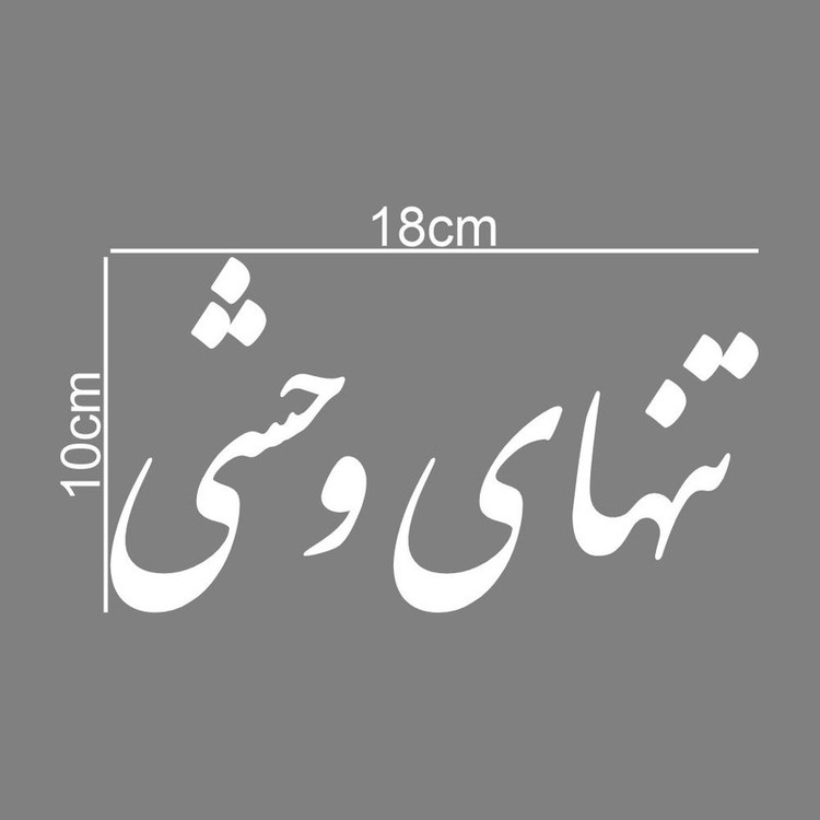 برچسب بدنه خودرو طرح تنهای وحشی کد MT-W449