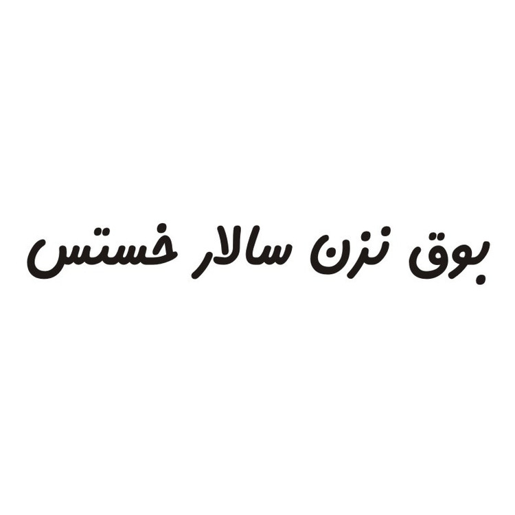 برچسب بدنه خودرو لیزارد مدل فانتزی طرح بوق نزن سالار خستس کد LZD-772