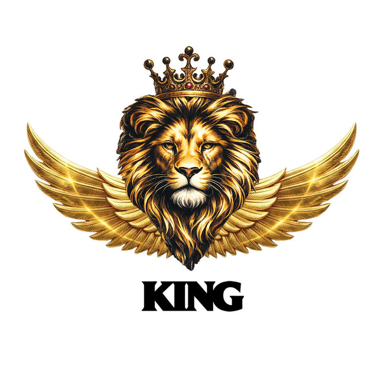 برچسب بدنه خودرو طرح king کد king-001