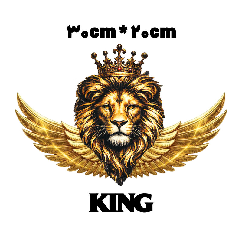 برچسب بدنه خودرو طرح king کد king-001
