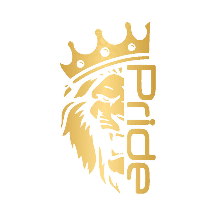 برچسب بدنه خودرو شیپرس طرح Pride کد Sp004T