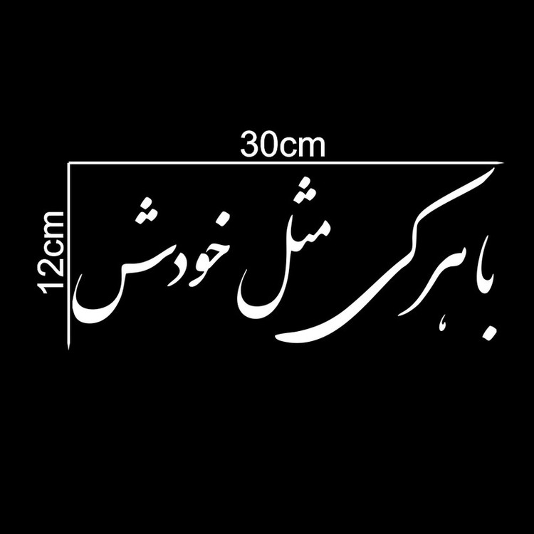 برچسب بدنه خودرو ماتریسیو طرح با هر کی مثل خودش کد M51