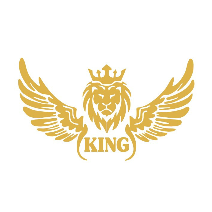 برچسب بدنه خودرو مدل شیر بال کد NG1