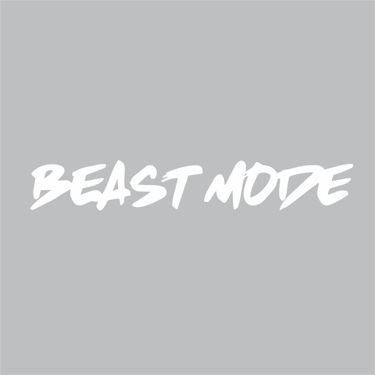 برچسب بدنه خودرو ونگارد طرح Beast کد B01