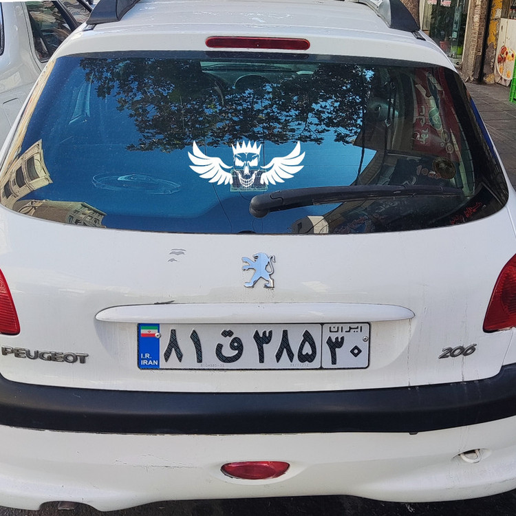 برچسب بدنه خودرو ماتریسیو طرح بال اسکلت کد M246