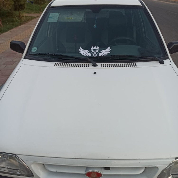 برچسب بدنه خودرو ماتریسیو طرح بال اسکلت کد M246