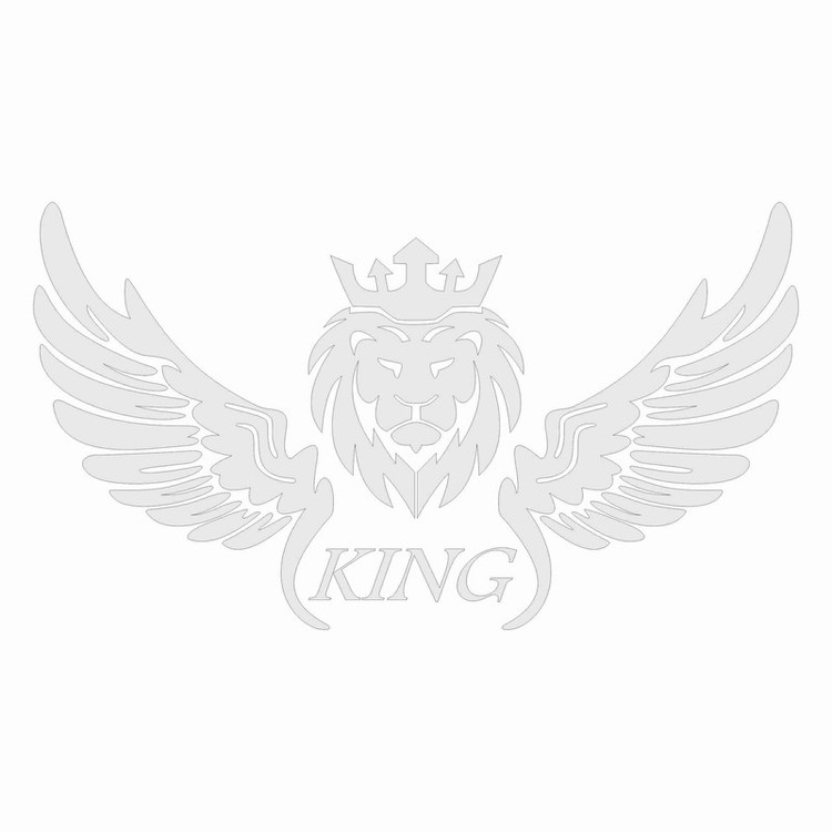 برچسب بدنه خودرو طرح بال کد SF04