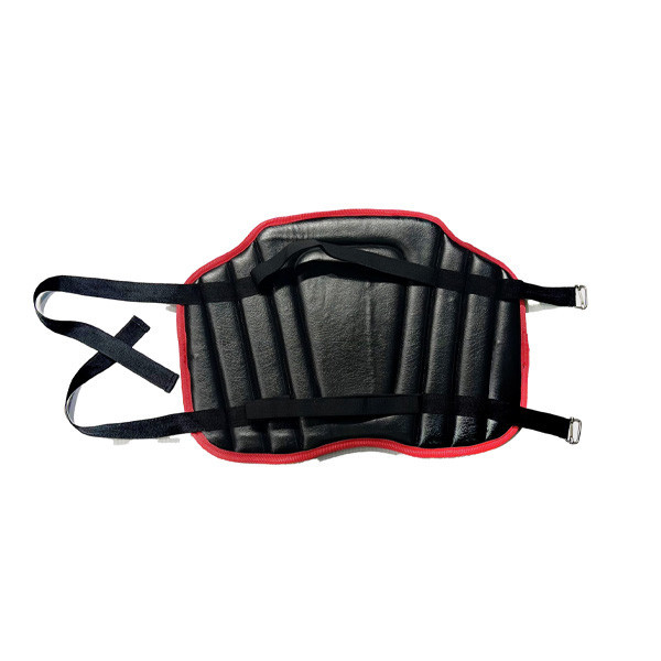 رویه زین موتور ومحافظ طبی آلویز ویگر مدل chest