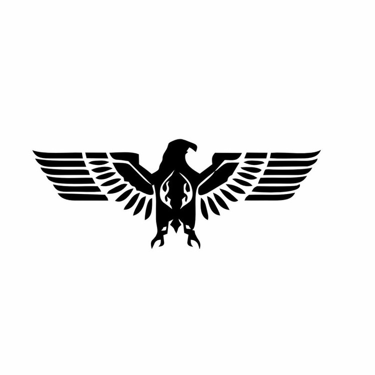 برچسب بدنه خودرو طرح عقابی کد S1