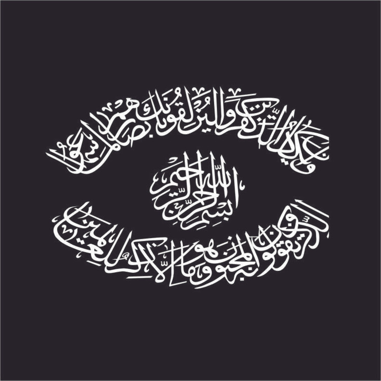 برچسب بدنه خودرو طرح نوین گراف مدل وان یکاد کد vn11