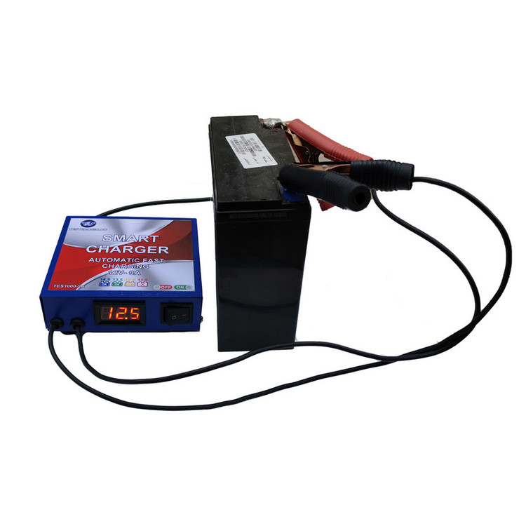 شارژر باتری خودرو مدل TES-1000-9A