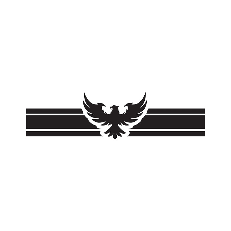 برچسب بدنه خودرو توییجین و موییجین طرح eagle کد 01