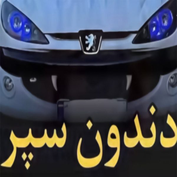 دندانی سپر خودرو اس پی اس مدل شاخ گاو مجموعه 2 عددی