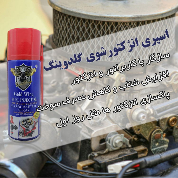 اسپری انژکتور و کاربراتور شوی گلدوینگ مدل FIC حجم 450 میلی لیتر