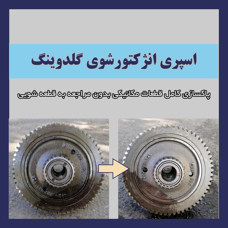 اسپری انژکتور و کاربراتور شوی گلدوینگ مدل FIC حجم 450 میلی لیتر