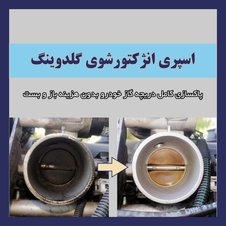 اسپری انژکتور و کاربراتور شوی گلدوینگ مدل FIC حجم 450 میلی لیتر