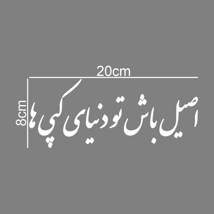 برچسب بدنه خودرو طرح اصیل باش تو دنیای کپی ها کد MT-W509