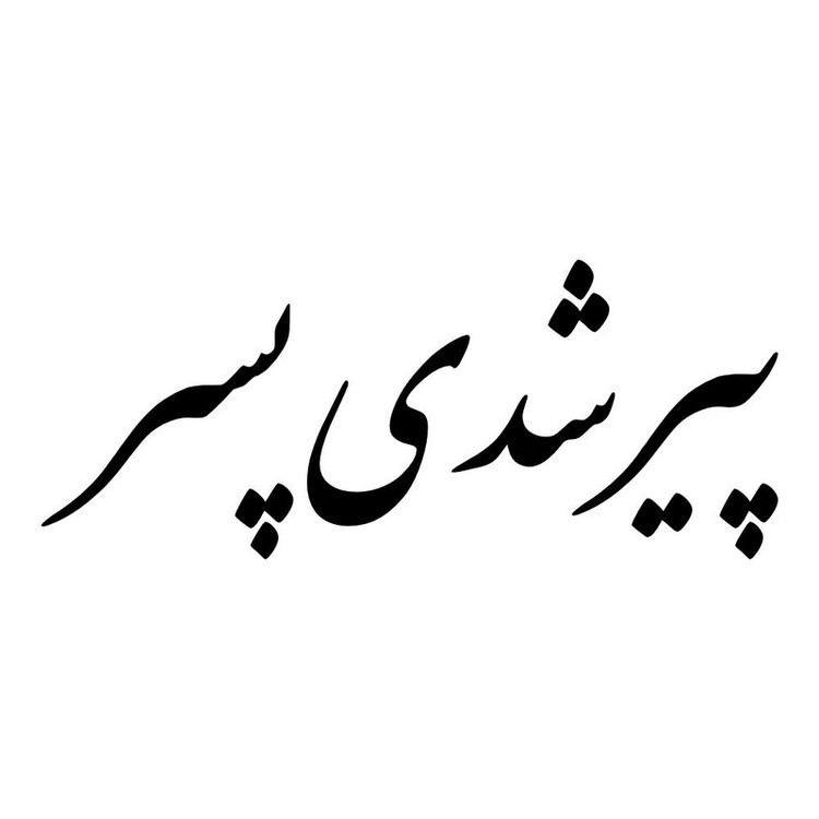 برچسب بدنه خودرو طرح پیر شدی پسر کد MT-B459