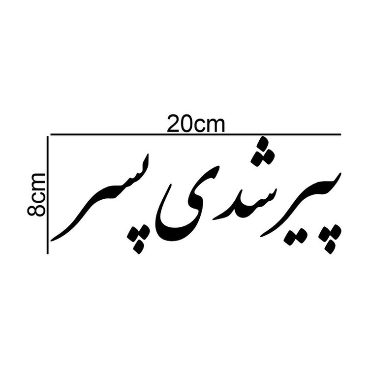 برچسب بدنه خودرو طرح پیر شدی پسر کد MT-B459
