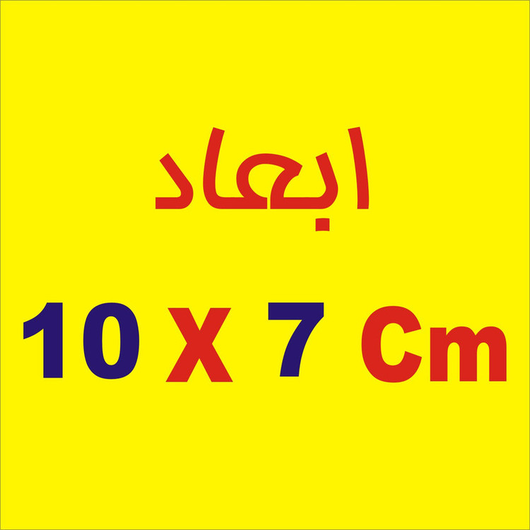 برچسب بدنه خودرو لیزارد مدل اسپورت کد LZD-741