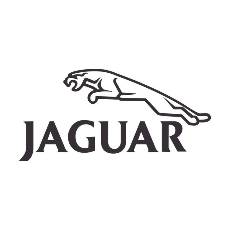 برچسب بدنه خودرو طرح نوین گراف مدل jaguar کد 31