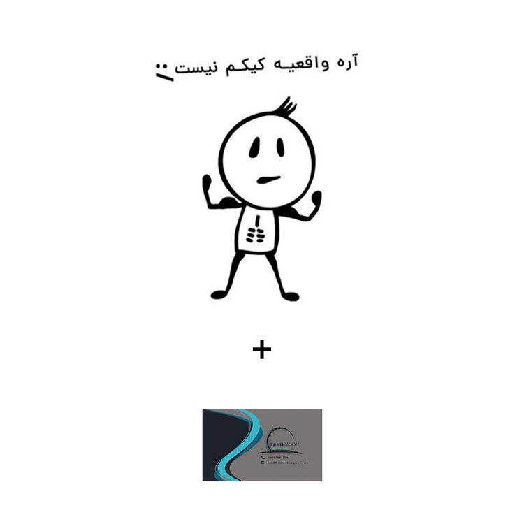 برچسب بدنه خودرو لندمون طرح فانتزی مدل واقعیه یا کیک کد LF003 M