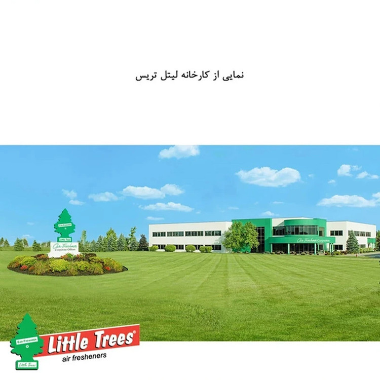 خوشبوکننده خودرو لیتل تریس مدل Trees رایحه True North