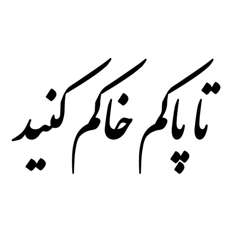 برچسب بدنه خودرو طرح تا پاکم خاکم کنید کد MT-B444