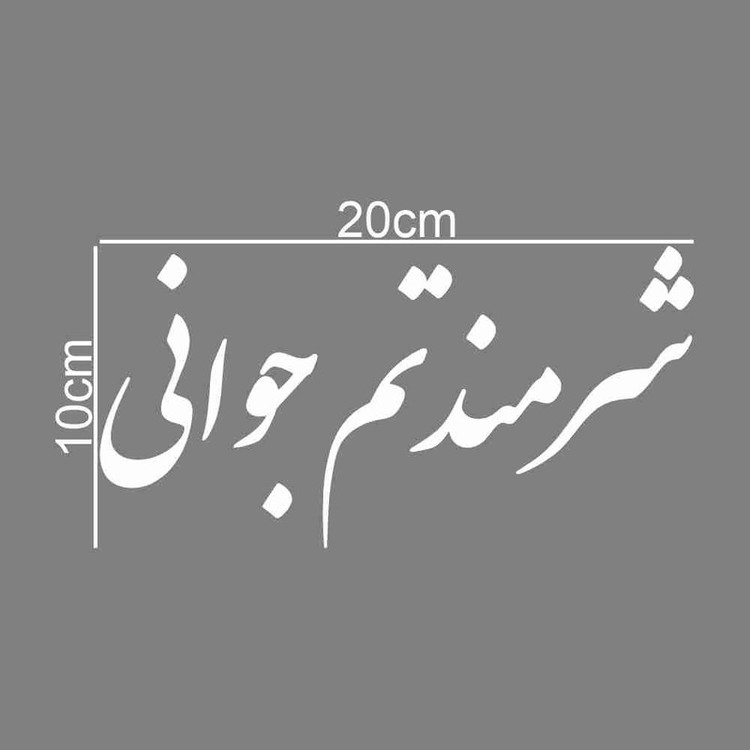 برچسب بدنه خودرو طرح شرمندتم جوانی کد MT-W453