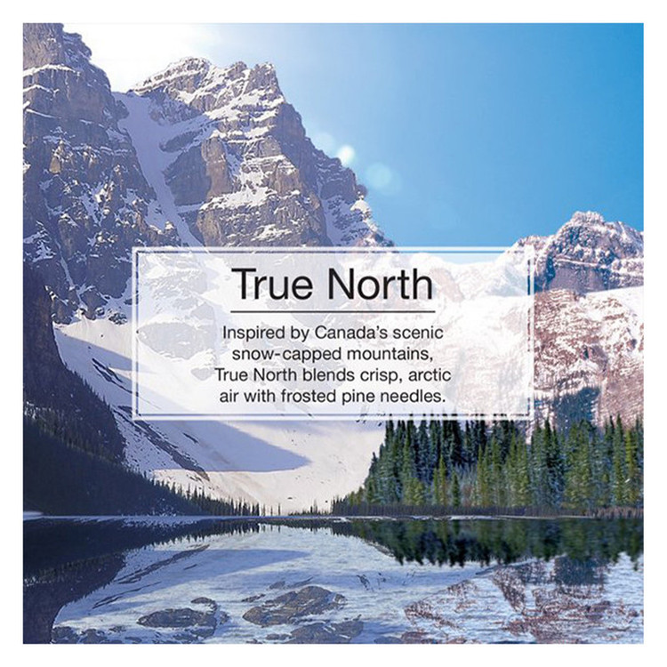 خوشبوکننده خودرو لیتل تریس مدل VENTLIQUEID رایحه True North