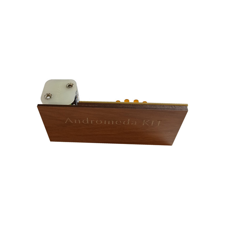 کیت آموزشی مدل آونگ الکترونیک کد AE - KV0019