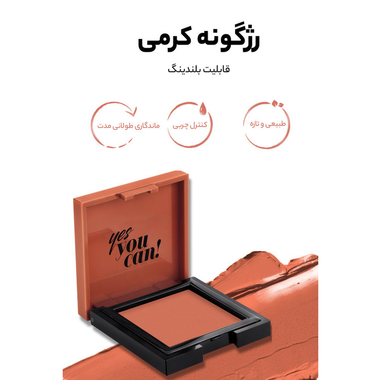 رژ گونه پاستل شماره 47