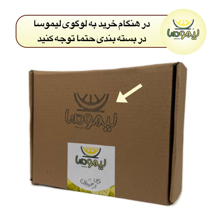 بازی آموزشی لیموسا مدل ست رنگ آمیزی طرح پاتریک