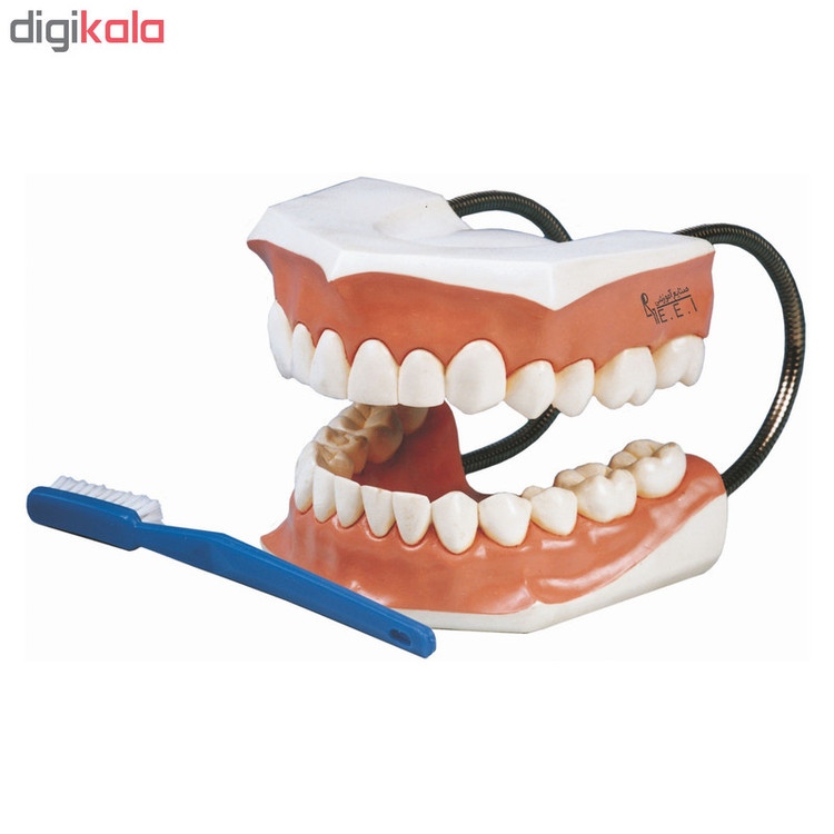 بازی آموزشی صنایع آموزشی طرح آموزش مسواک کد 3150