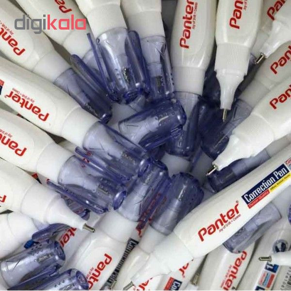 لاک غلط گیر قلمی پنتر کد Z22 بسته 4 عددی