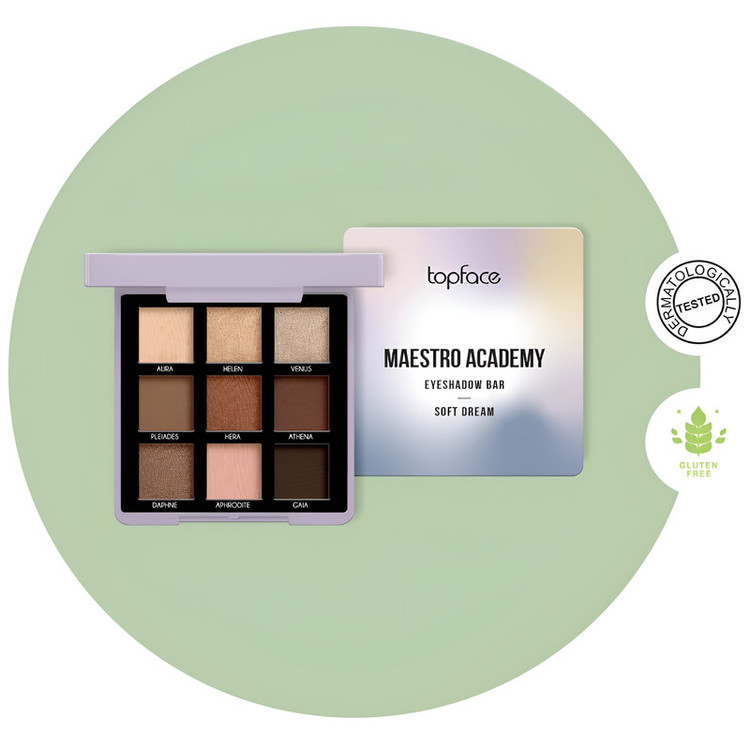 پالت سایه چشم تاپ فیس مدل Maestro Academy شماره 001