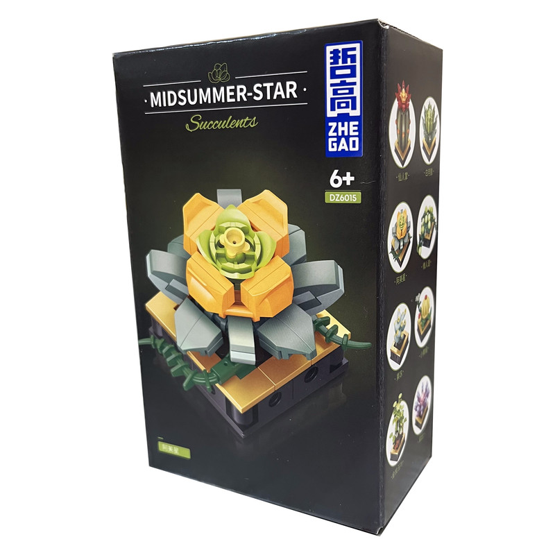 ساختنی مدل میدسامر گاردن طرح STAR