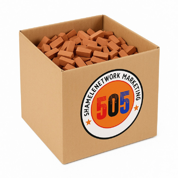 ساختنی 300 تکه مدل آجر مینیاتوری خانه سازی و ماکت سازی 505 کد Bx-s300