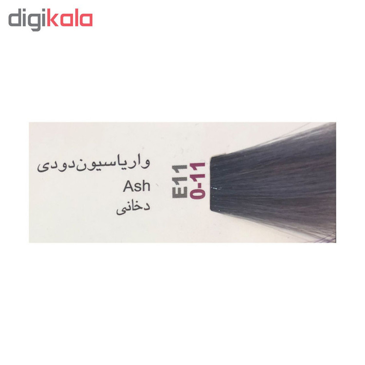 واریاسیون پادینا شماره E11-0-11 حجم 100 میلی لیتر رنگ دودی