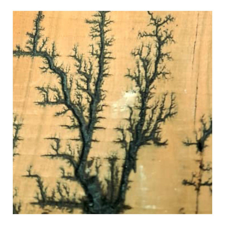 تخته چوب مدل سوخته کاری طرح شجر کد-4