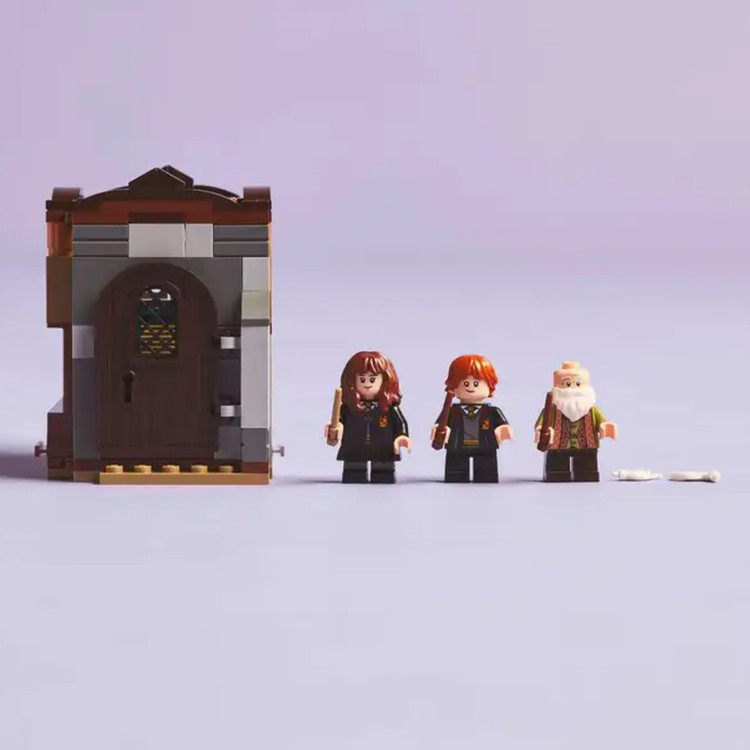 لگو سری هریپاتر مدل Hogwarts Castle: Charms Class کد 76442