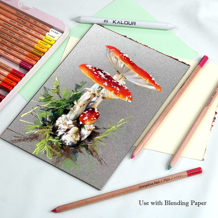 پاستل مدادی 72 رنگ کالور مدل مرغابی