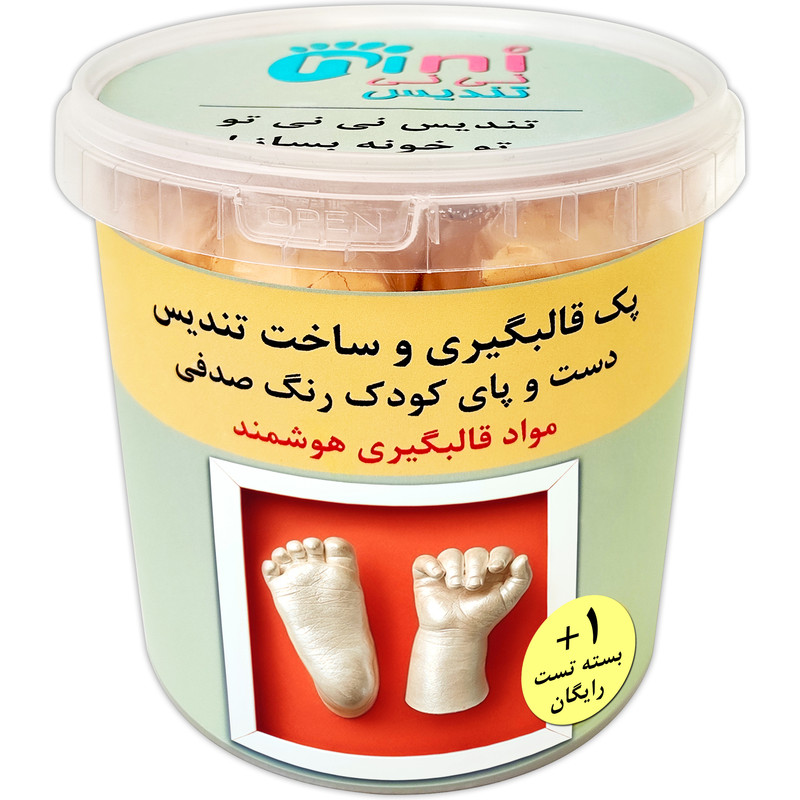 مجموعه قالب گیری نی نی تندیس مدل دست و پای کودک