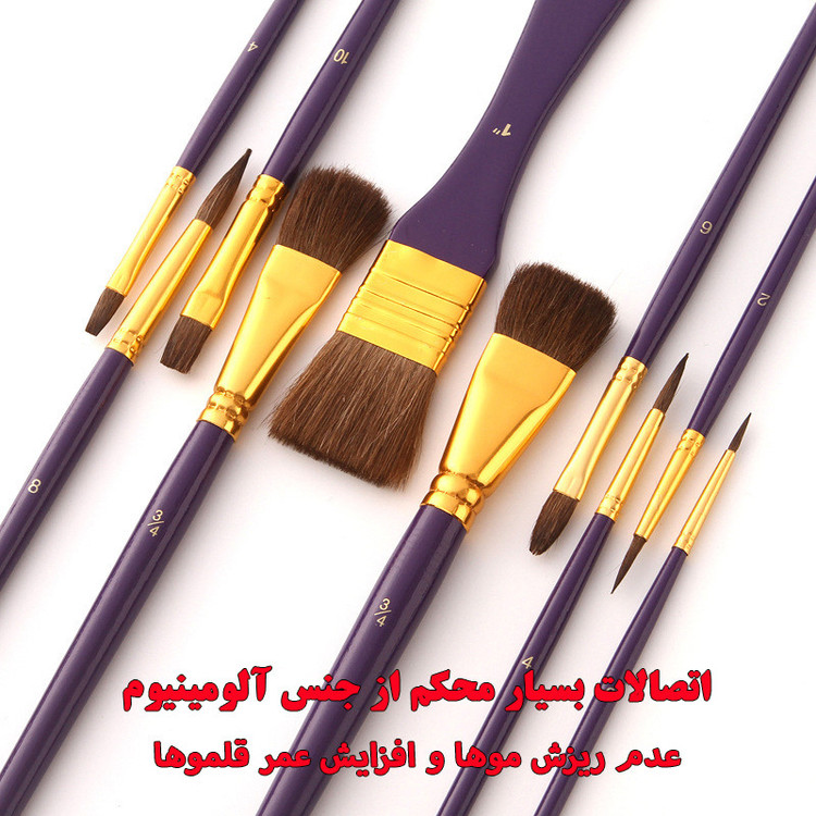 ست قلمو مدل Horse Hair مجموعه 10 عددی