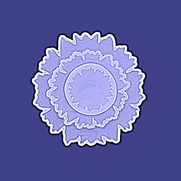 قالب رزین اپوکسی مدل کنگره بسته 3عددی